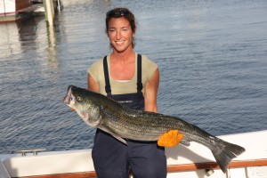 Striper2