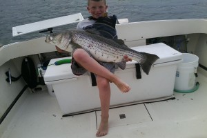 mikebass