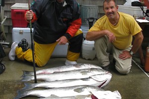bass_927